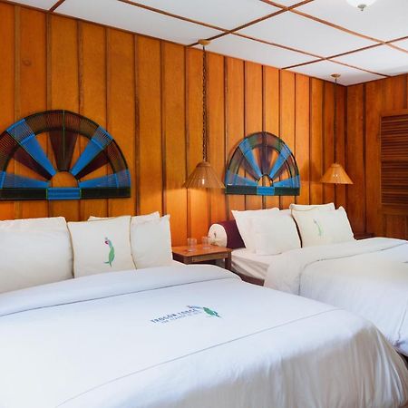 Trogon Lodge Сан-Херардо-де-Дота Екстер'єр фото