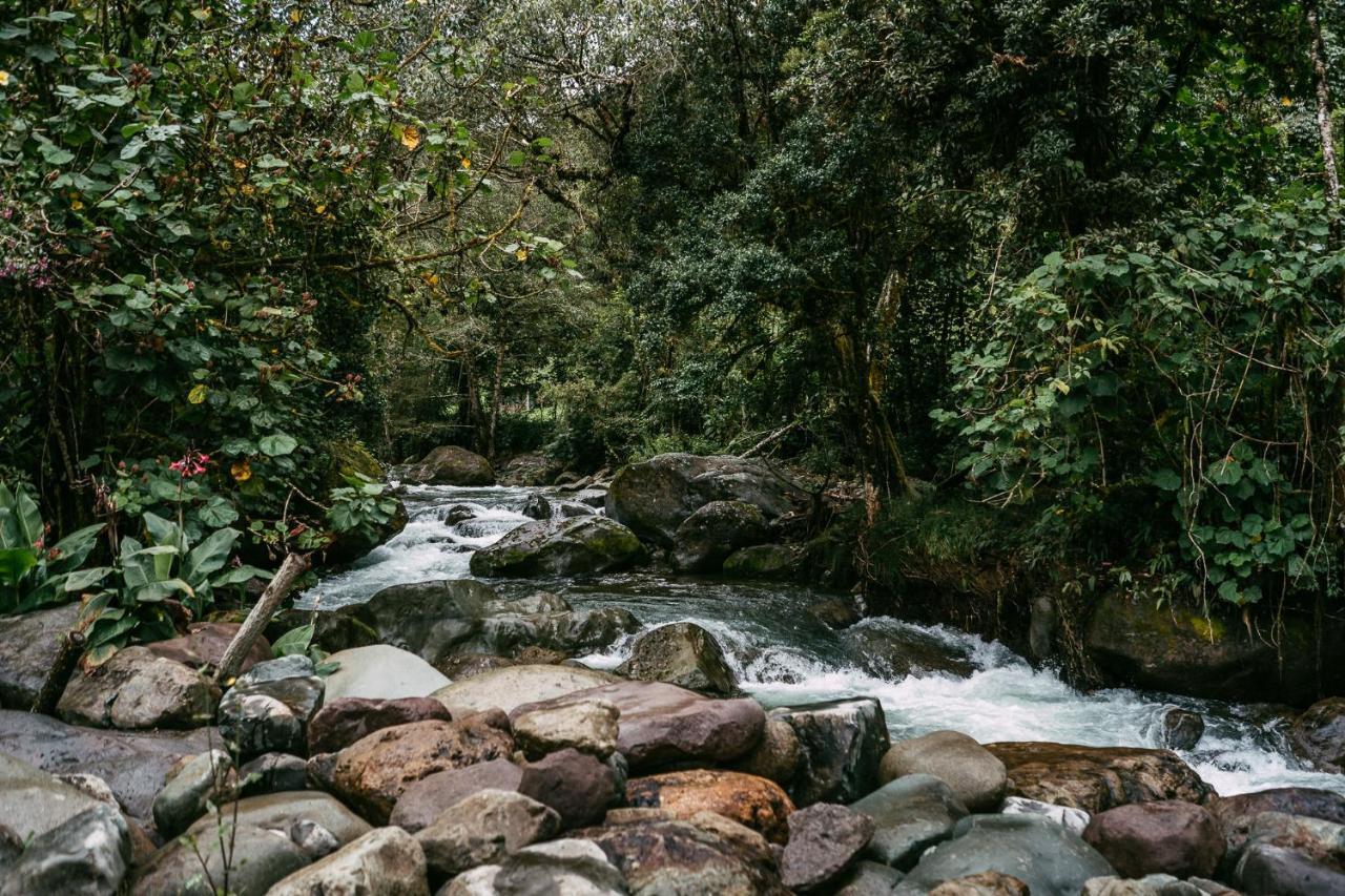 Trogon Lodge Сан-Херардо-де-Дота Екстер'єр фото