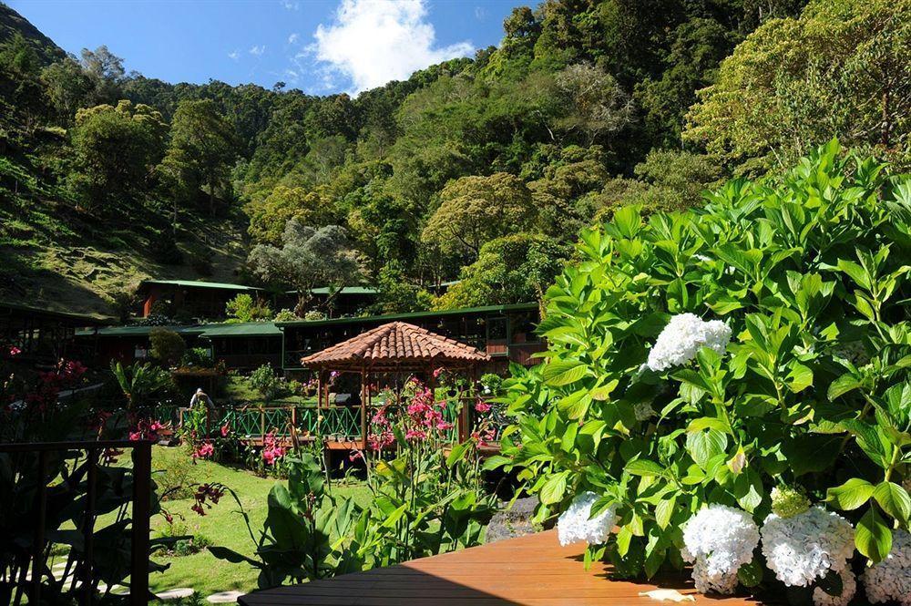 Trogon Lodge Сан-Херардо-де-Дота Екстер'єр фото