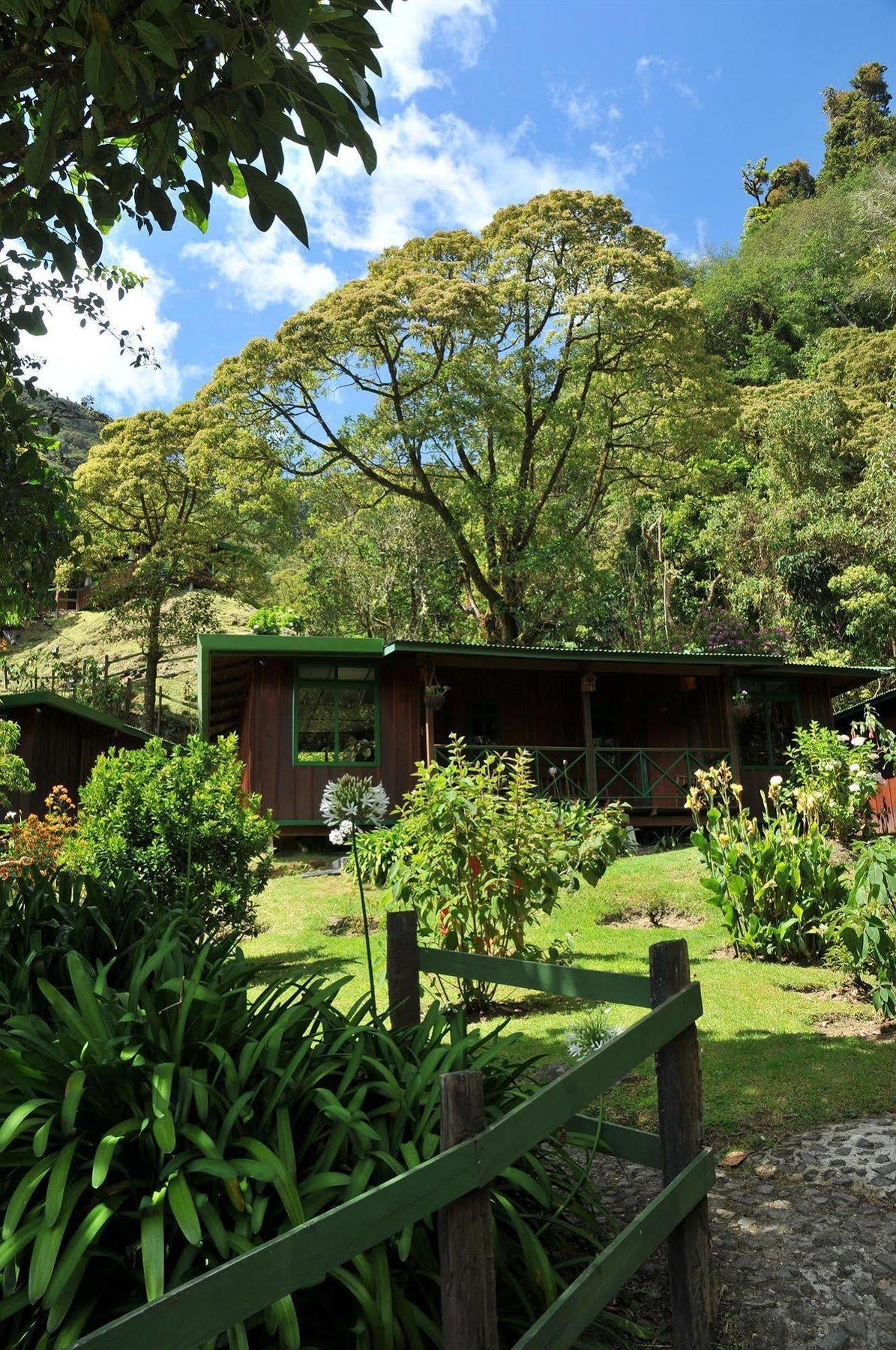 Trogon Lodge Сан-Херардо-де-Дота Екстер'єр фото